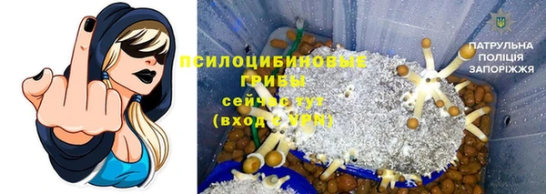 ГАЛЛЮЦИНОГЕННЫЕ ГРИБЫ Заводоуковск