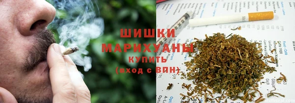 ГАЛЛЮЦИНОГЕННЫЕ ГРИБЫ Заводоуковск