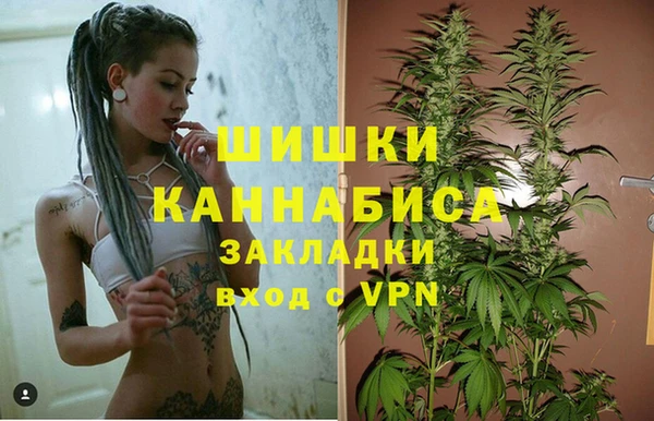 ГАЛЛЮЦИНОГЕННЫЕ ГРИБЫ Заводоуковск