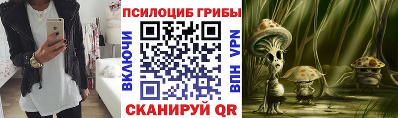 Галлюциногенные грибы GOLDEN TEACHER Балашов